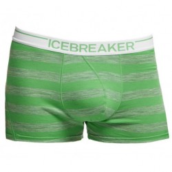 Термобелье-трусы Icebreaker Anatomica Boxers Stripe Men 150