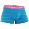 Термобелье-трусы Icebreaker Anatomica Boxers Stripe Men 150