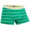 Термобелье-трусы Icebreaker Anatomica Boxers Stripe Men 150