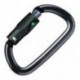 Карабин Petzl Am'D Ball Lock