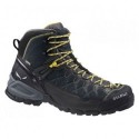 Мужские ботинки Salewa MS ALP Trainer Mid GTX