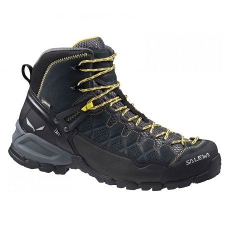 Мужские ботинки Salewa MS ALP Trainer Mid GTX