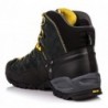 Мужские ботинки Salewa MS ALP Trainer Mid GTX