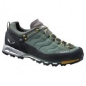 Кроссовки мужские Salewa MS MTN Trainer