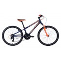 Детский велосипед Centurion 2017 Bock 24