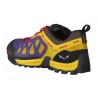 Кроссовки мужские Salewa MS Firetail 3