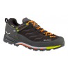 Кроссовки мужские Salewa MS Mountain Trainer GTX