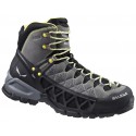 Мужские ботинки Salewa MS ALP Flow Mid GTX