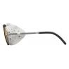 Очки Julbo Cham Silver/White SP4