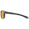 Очки Julbo Paddle Noir Polarized 3CF