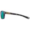 Очки Julbo Paddle Ecaille Vert SP3CF
