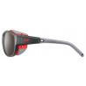 Очки Julbo Explorer 2.0 Grey Alti ARC 4