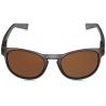 Очки Julbo Valparaiso Matt Transculent Black Polarized 3