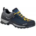 Кроссовки мужские Salewa MS Mountain Trainer GTX
