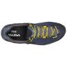 Кроссовки мужские Salewa MS Mountain Trainer GTX