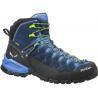 Мужские ботинки Salewa MS ALP Trainer Mid GTX