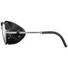 Очки Julbo Cham Argent/Black SP4