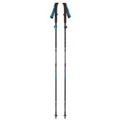 Трекінгові палиці Black Diamond Alpine Carbon Cork Trek