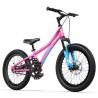 Детский велосипед RoyalBaby Chipmunk Explorer 20"