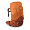Рюкзак Osprey Ace 38