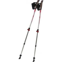 Палки для скандинавської ходьби Tramp Compact TRR-004