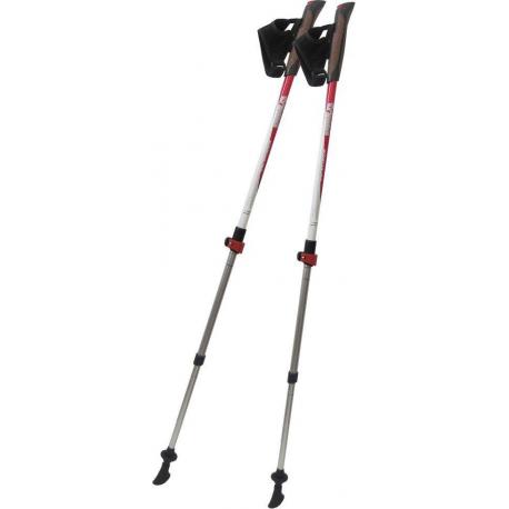 Палки для скандинавской ходьбы Tramp Compact TRR-004