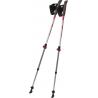 Палки для скандинавской ходьбы Tramp Compact TRR-004