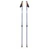 Палки для скандинавской ходьбы Tramp Flash TRR-010