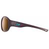 Очки Julbo Island Polarized 3