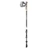 Палки для скандинавской ходьбы Leki Traveller Carbon