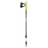 Палки для скандинавской ходьбы Leki Walker XS SL Plus