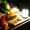 Кемпинговый фонарь BioLite SiteLight XL