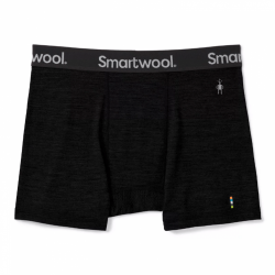Трусы мужские Smartwool Men's Merino Sport 150 Boxer Brief Boxed