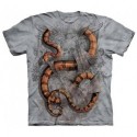 Футболка The Mountain Boa Constrictor