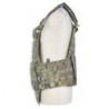 Разгрузка Tasmanian Tiger Plate Carrier MC