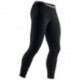 Icebreaker Apex Leggings Men 260