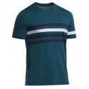 Icebreaker Tech T Lite SS Streak Men