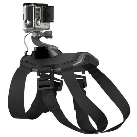 GoPro Fetch (ADOGM-001)