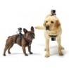 GoPro Fetch (ADOGM-001)
