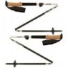 Треккинговые палки Black Diamond Alpine FLZ