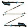Треккинговые палки Black Diamond Distance FLZ